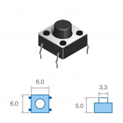 PUSH  SW060 microswitch