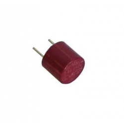 FUSE 100mA T TYPE PHILIPS SLOW