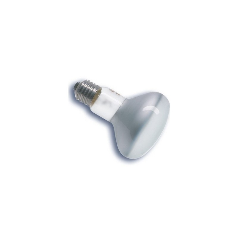 R80 60W ESCAPARATE LAMP
