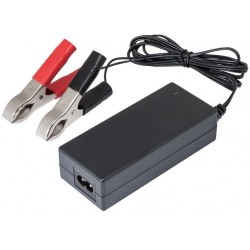 CAR242 CARGADOR BATERIAS...