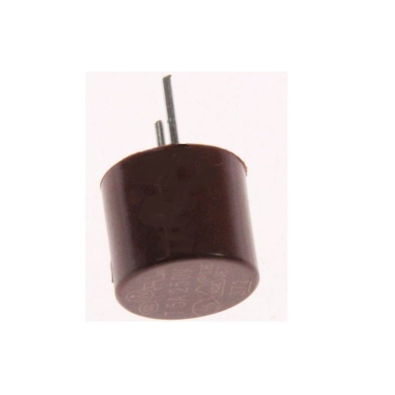 8315614026 FUSIBLE GRUNDIG 500mA