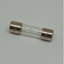 FUSE 2A T,SMALL, 153220300