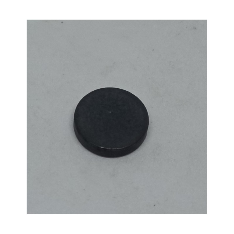 MAGNET DISK 10MM 145203200