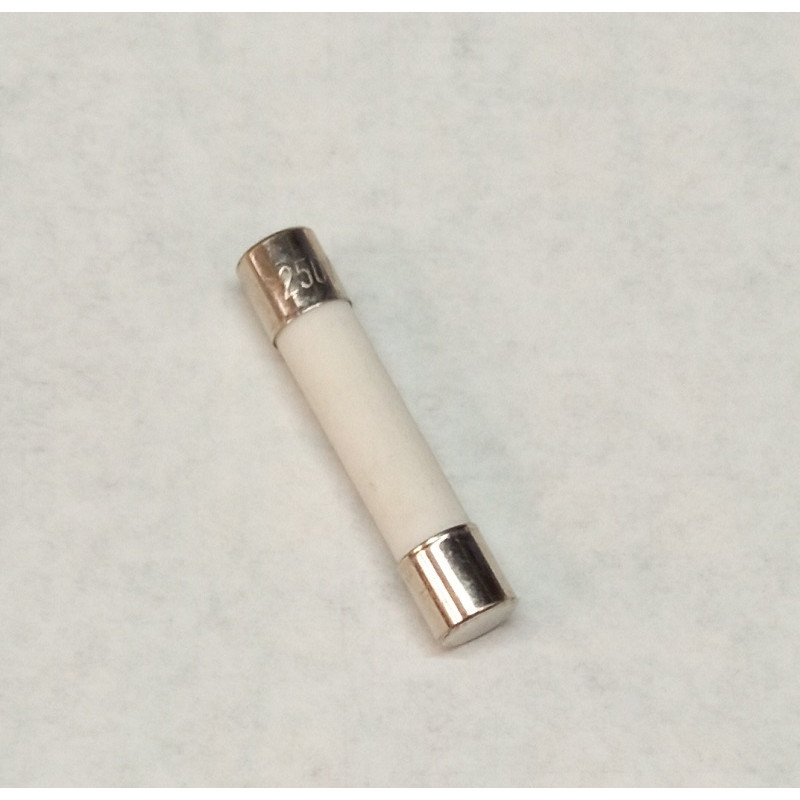 FUSE 12.5A MICROWAVE 6.3X32 RM-AF023L