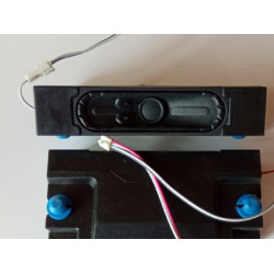 HISENSE 50A6BG SPEAKER KIT