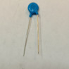 2n2 Capacitor 2000V