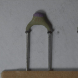 22pF CERAMIC CAPACITOR