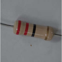 22R 2W RESISTOR