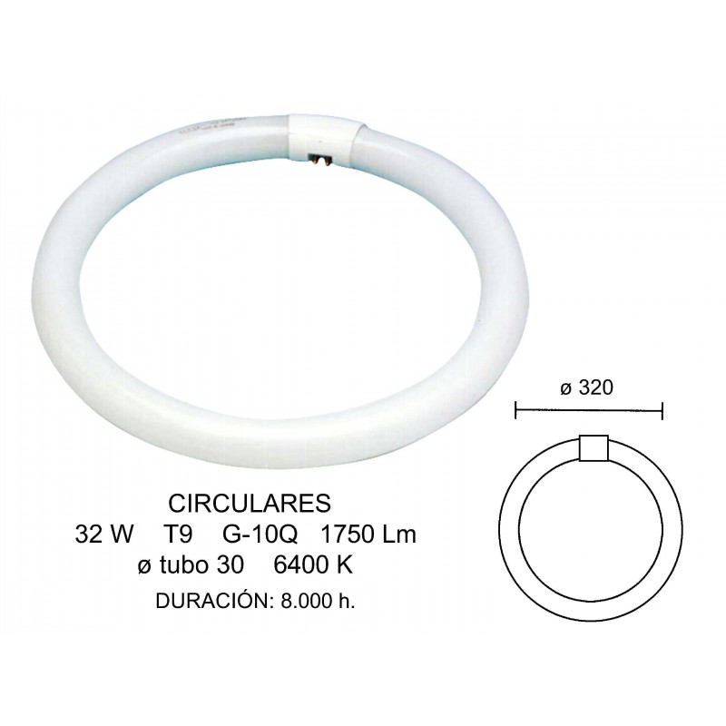 TUBO CIRCULAR 22W  FLUORESCENTE 2600027